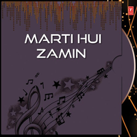 Marti Hui Zamin