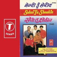 Sohni Tu Shoukin