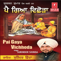 Pei Gaya Vichhoda