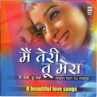 Main Teri Tu Mera