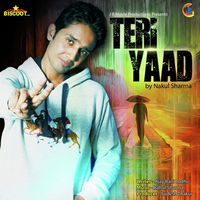 Teri Yaad