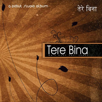 Tere Bina
