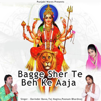 Bagge Sher Te Beh Ke Aaja