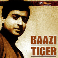 Bazi - Tiger