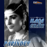 Ilaqa Ghair - Parinday