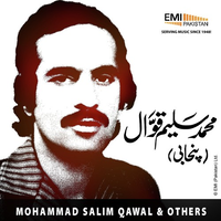 Mohammad Salim Qawwal And Others