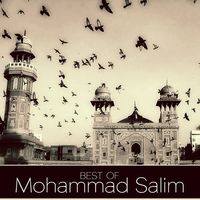 Mohammad Salim