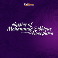 Mohammad Siddique Noorpuria