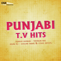 Punjabi TV Hits