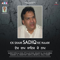 Ek Sham Sadiq Ke Naam