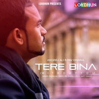 Tere Bina