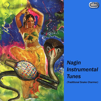 Nagin Instrumental Tunes (Traditional Snake Charmer)