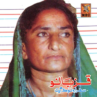 Sehra Lokhe Geet, Vol. 355