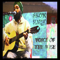 Voice Of The Wise