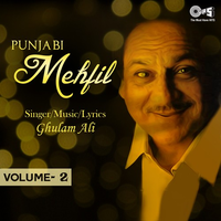 Punjabi Mehfil Vol. 2