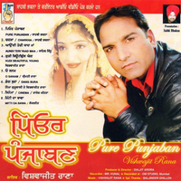 Pure Punjaban