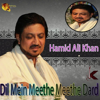Dil Mein Meethe Meethe Dard