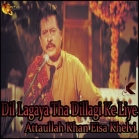 Dil Lagaya Tha Dillagi Ke Liye
