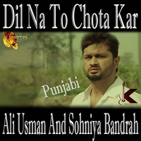 Dil Na To Chota Kar