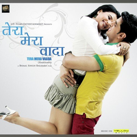 Tera Mera Vada
