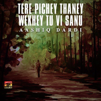 Tere Pichey Thaney Wekhey Tu Vi Sanu