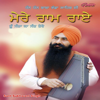 Mere Ram Rai Tu Santa Ka Sant Tere