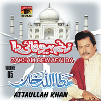 Zakham Bewafai Da