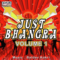 Just Bhangra, Vol. 1