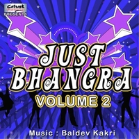 Just Bhangra, Vol. 2
