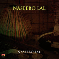Dil Marjane Noon