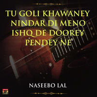 Tu Goli Khawaney Nindar Di Meno Ishq De Doorey Pendey Ne