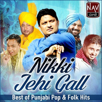 Nikki Jehi Gall