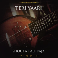 Teri Yaari