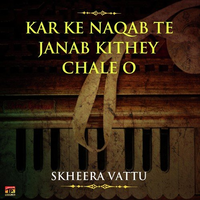 Kar Ke Naqab Te Janab Kithey Chale O