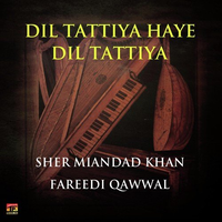 Dil Tuttiya Haye Dil Tuttiya