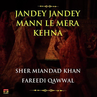 Jandey Jandey Mann Le Mera Kehna