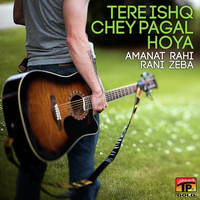 Tere Ishq Chey Pagal Hoya