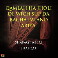 Qamlah Ha Jholi De Wich Sup Da Bacha Paland Ariya