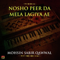 Nosho Peer Da Mela Lagiya Ae