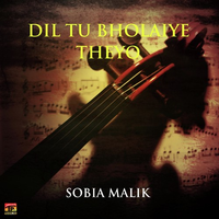 Dil Tu Bholaiye Theyo