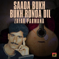 Saada Bukh Bukh Ronda Dil