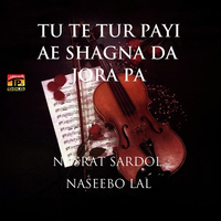 Tu Te Tur Payi Ae Shagna Da Jora Pa