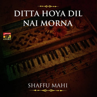Ditta Hoya Dil Nai Morna