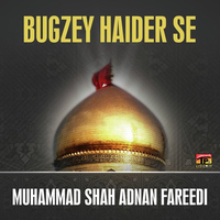 Bugzey Haider Se