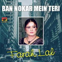 Ban Nokar Mein Teri