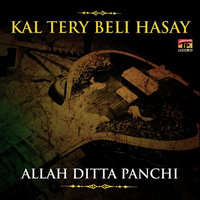 Kal Tery Beli Hasay