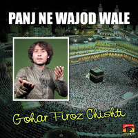 Panj Ne Wajod Wale