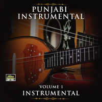 Punjabi Instrumental