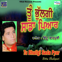 Tu Bhullgi Sada Pyar