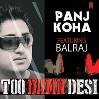 Too Damn Desi